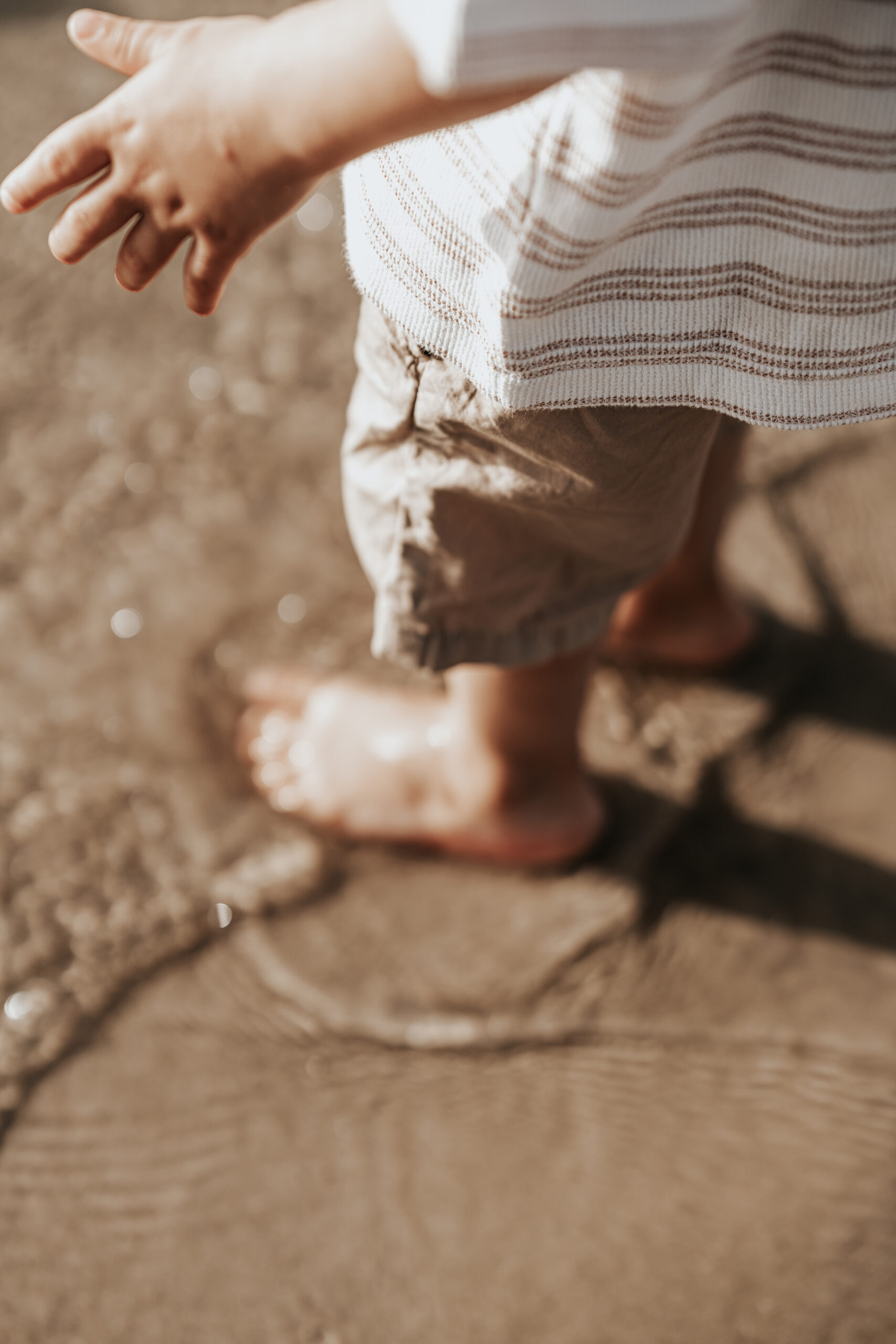 צילומי משפחה (144)